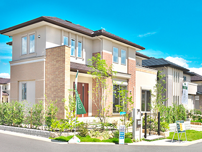 ��ͷ��ƤΥ��᡼��