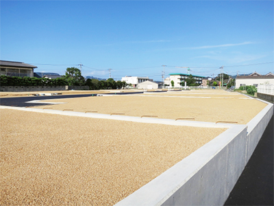 ���ϤΥ��᡼��